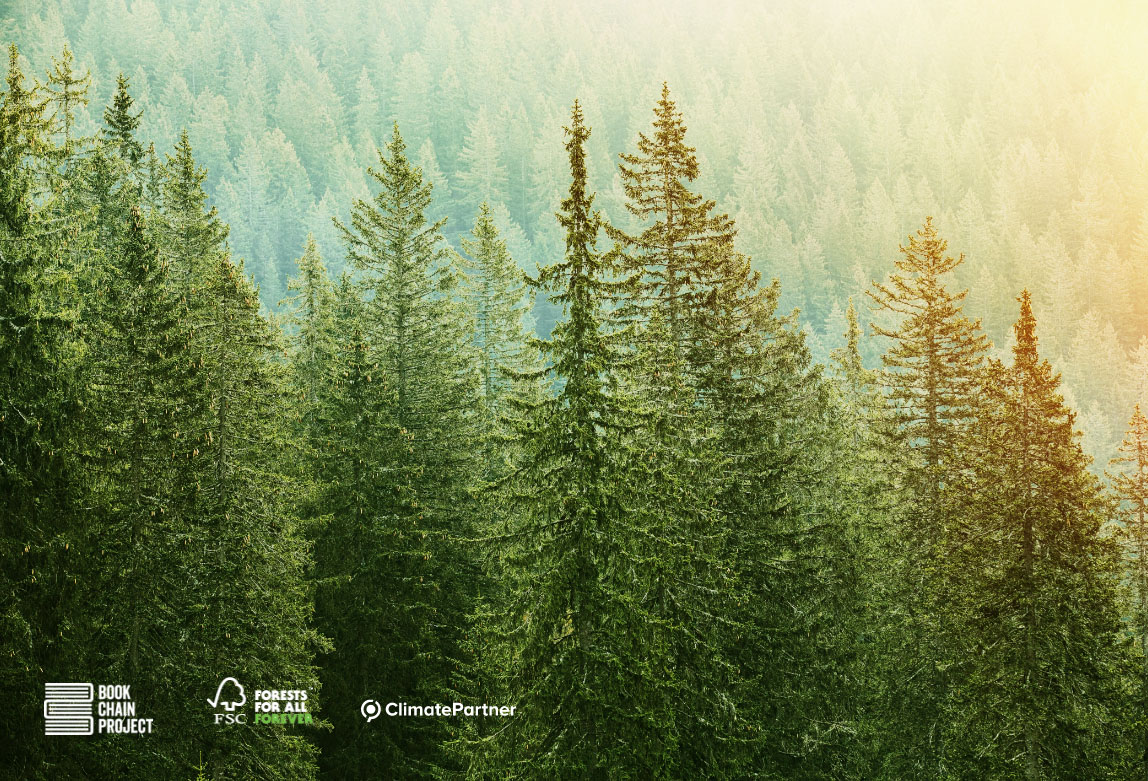 home_forest imago group sustainability fsc climate partner
